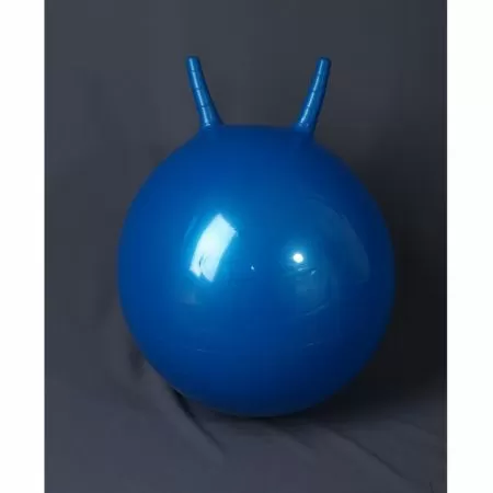 L 2355b Гимнастический мяч 55см (в коробке с насосом) синий