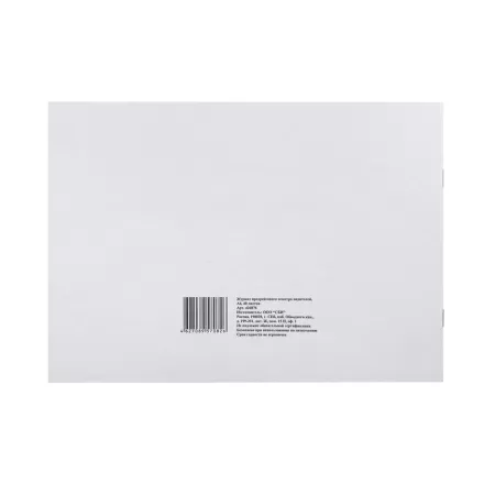 Журнал предрейсового осмотра водителей (40 листов, скрепка, обложка картон)