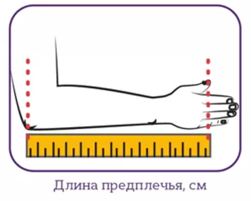 Длина предплечья.png